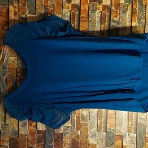 🧊🧊Beautiful sparkle and sheer sleeved shirt